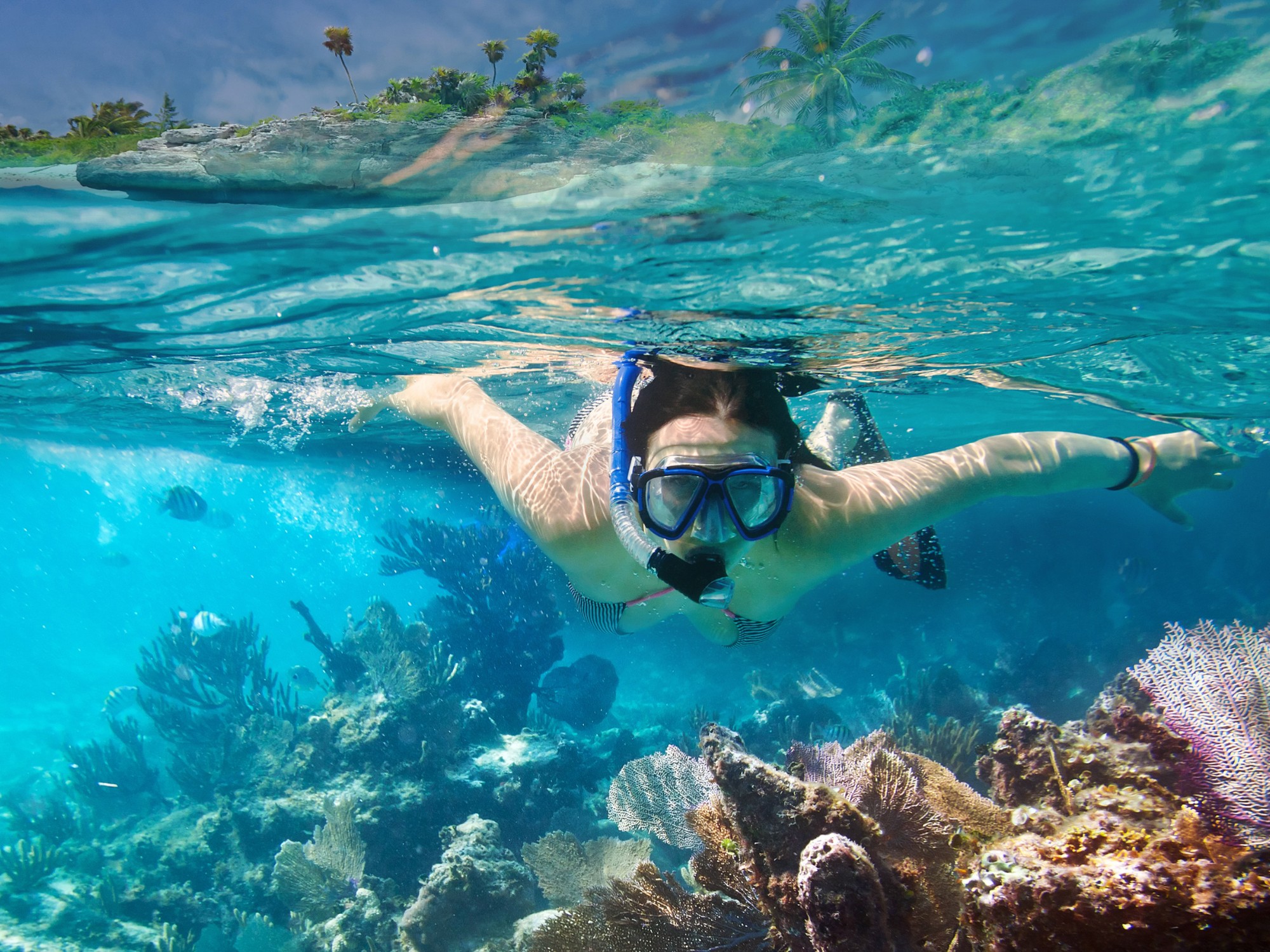 Sankara Beach Penida - Experience - House Reef Snorkeling